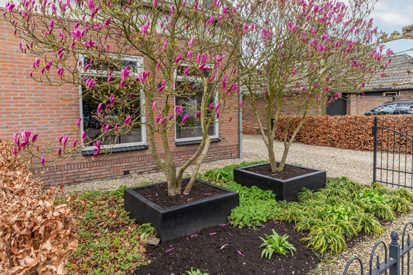 Medium property photo - Schoolstraat 2, 4051 AV Ochten