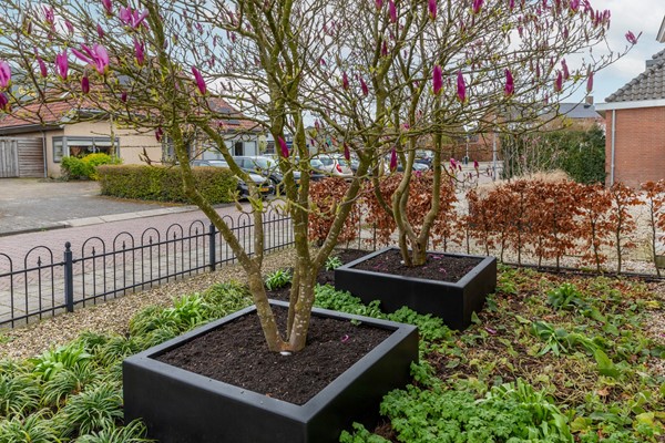 Medium property photo - Schoolstraat 2, 4051 AV Ochten