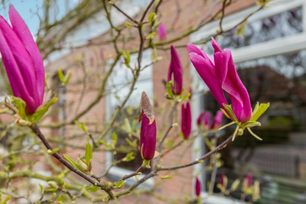 Medium property photo - Schoolstraat 2, 4051 AV Ochten