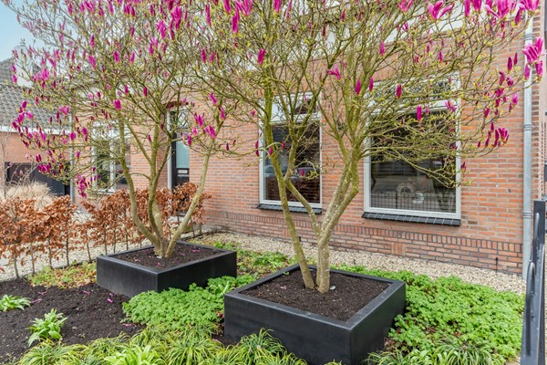 Medium property photo - Schoolstraat 2, 4051 AV Ochten