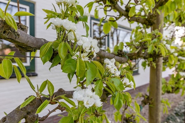 Medium property photo - Broekdijk 44, 4041 CW Kesteren