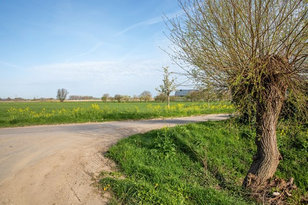 Medium property photo - De Hel 9, 6668 LG Randwijk