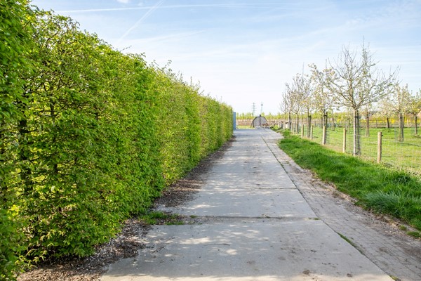 Medium property photo - De Hel 9, 6668 LG Randwijk