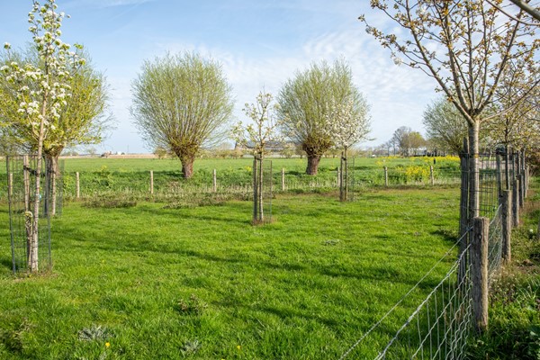 Medium property photo - De Hel 9, 6668 LG Randwijk