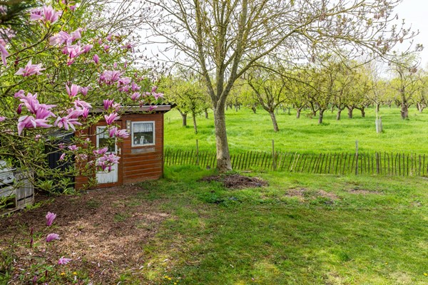 Medium property photo - Rijnbandijk 111-90, 4021 AG Maurik