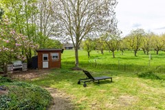 08944853_60.jpg
