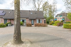 08946030_47.jpg