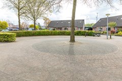 08946030_48.jpg