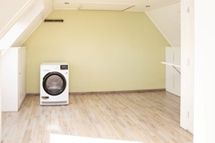 08971310_81.jpg