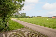 08983462_63.jpg