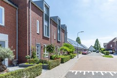 08993974_50.jpg