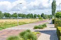 09002524_47.jpg