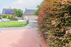 09005925_53.jpg