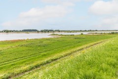 09005925_68.jpg