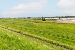 09005925_69.jpg