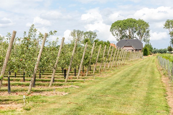 Te koop: Agrarisch object: wonen en werken op 21790 m² eigen grond!