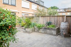 09043603_86.jpg