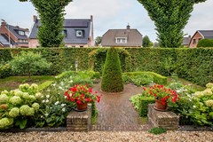 09053004_6.jpg