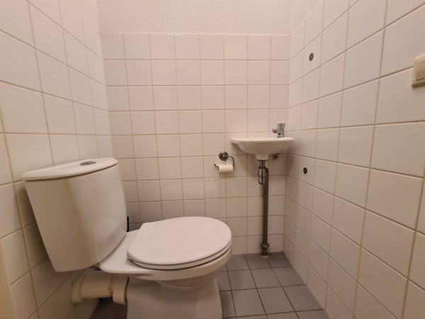 Toilet.jpg