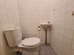 Toilet.jpg