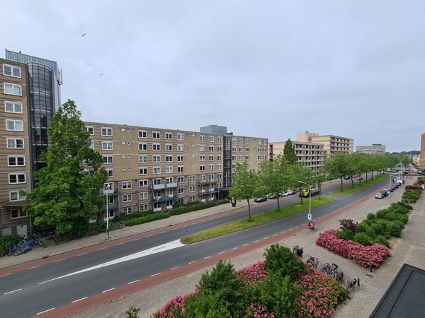 Uitzicht.jpg