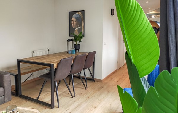 Foto - Te koop: Stelleplas 167B, 4451 RN Heinkenszand