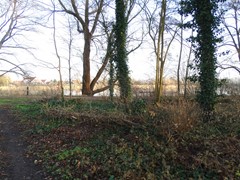 Stelleplas 167B, 4451 RN Heinkenszand - DSC05088.JPG