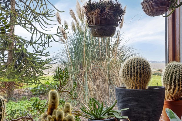 Foto - Te koop: Voorsterweg 8-1, 8316 PS Marknesse