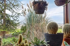 Voorsterweg 8-1, 8316 PS Marknesse - Voorsterweg818316PSMarknesse-16.jpg