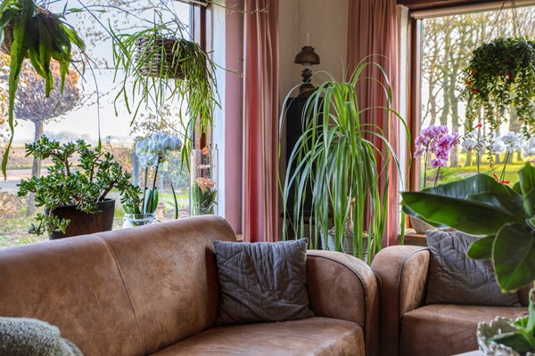 Foto - Te koop: Voorsterweg 8-1, 8316 PS Marknesse