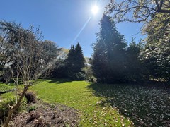 Plein Almere 19, 8302 BH Emmeloord - IMG_2627.jpeg