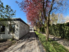 Plein Almere 19, 8302 BH Emmeloord - IMG_2640.jpeg