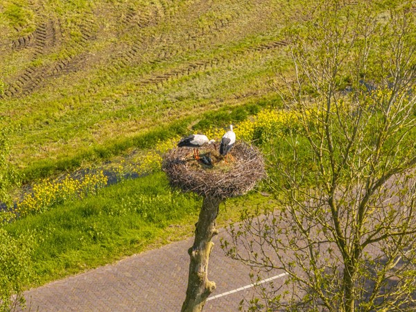 Foto - Te koop: Langelilleweg 2, 8484 KE Langelille