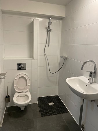 4b749a5d-5789-4676-8b5b-c59f6fddadbf.JPG 8