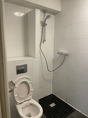 8ecc7cb5-c3a5-41ab-a3c2-97ea0bd8990d.JPG 9