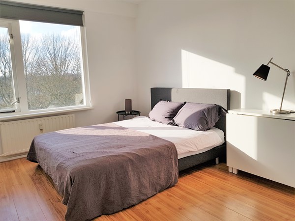Medium property photo - Adriaan Dortsmanstraat 153, 3067 NC Rotterdam