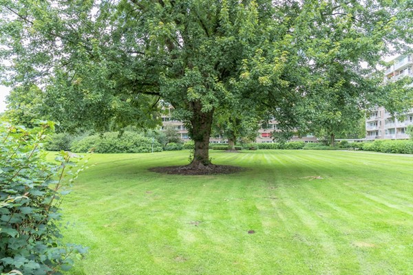 Medium property photo - Adriaan Dortsmanstraat 153, 3067 NC Rotterdam