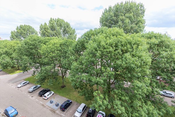 Medium property photo - Adriaan Dortsmanstraat 153, 3067 NC Rotterdam