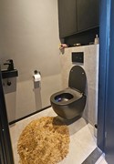 1000164431.jpg