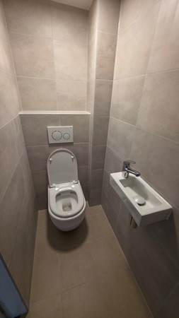 54438.jpg