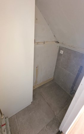 54803.jpg