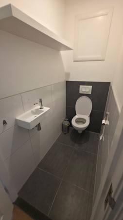56564.jpg