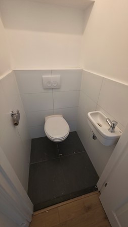 56466.jpg