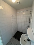 IMG_8336.jpeg
