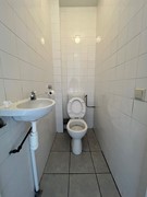 IMG_8339.jpeg