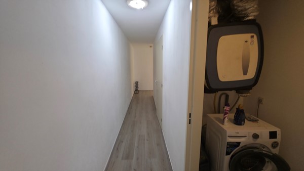 62853.jpg