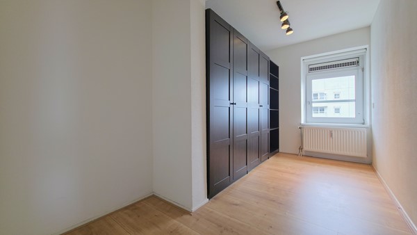 55583.jpg