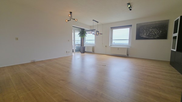 55575.jpg