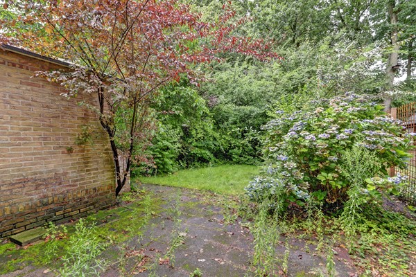 Medium property photo - Van Hogendorpstraat 16, 3904 HE Veenendaal