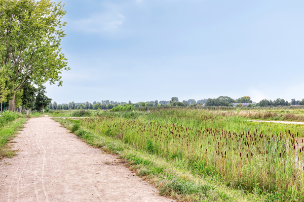 Medium property photo - Koenestraat 13, 3907 LH Veenendaal